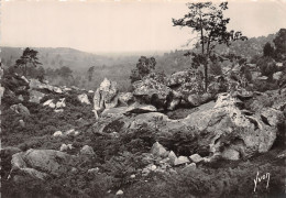 77-FONTAINEBLEAU-LA FORET-N°2846-C/0181 - Fontainebleau