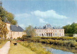 91-SAINT CHERON-CHÂTEAU DU MARAIS-N°2847-A/0289 - Saint Cheron