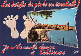 66-COLLIOURE-N2848-A/0195 - Collioure