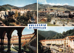 66-PANORAMA DES PYRENEES ORIENTALES-N2847-D/0229 - Other & Unclassified