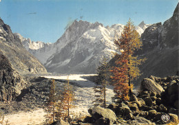 74-CHAMONIX-LA MER DE GLACE-N2847-D/0157 - Chamonix-Mont-Blanc