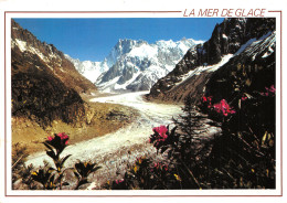 74-CHAMONIX-LA MER DE GLACE-N2847-D/0151 - Chamonix-Mont-Blanc