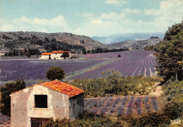 06-PAYSAGE DE COTE D AZUR-N2847-D/0091 - Sonstige & Ohne Zuordnung