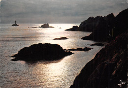 29-LA POINTE DU RAZ-N°2848-D/0091 - La Pointe Du Raz