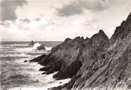 29-LA POINTE DU RAZ-N2848-D/0005 - La Pointe Du Raz