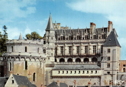 37-AMBOISE-LE CHÂTEAU-N2848-C/0073 - Amboise