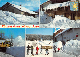 39-PAYSAGE DU JURA-N2848-B/0017 - Autres & Non Classés