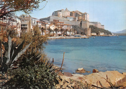 20-CALVI-N°2849-B/0139 - Calvi