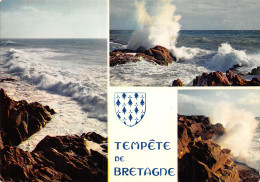 29-PAYSAGE DE BRETAGNE-N°2849-B/0013 - Other & Unclassified