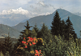 74-CHAINE DU MONT BLANC-N°2848-D/0313 - Sonstige & Ohne Zuordnung