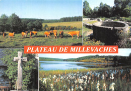 19-PLATEAU DE MILLEVACHES-N2850-B/0159 - Sonstige & Ohne Zuordnung