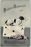 10268441 - Foxterrier / Terrier Hund Mit Brief Blumen - Dogs