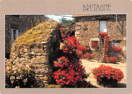 56-PAYSAGE DE BRETAGNE-N°2851-A/0025 - Sonstige & Ohne Zuordnung