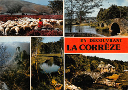 19-PANORAMA DE LA CORREZE-N°2850-D/0199 - Sonstige & Ohne Zuordnung