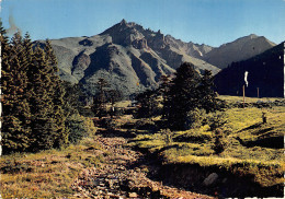 63-LE PUY DE SANCY-N°2850-D/0149 - Autres & Non Classés