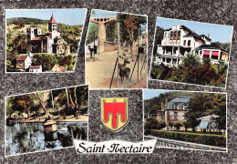 63-SAINT NECTAIRE-N2850-C/0111 - Saint Nectaire