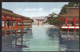 Japan - Miyajima - Itukusima Zinsya Temple - Hiroshima