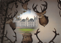 41-CHEVERNY-LE CHÂTEAU-N°2851-C/0143 - Cheverny