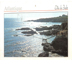 44-PAYSAGE DE LOIRE ATLANTIQUE-N°2851-C/0147 - Autres & Non Classés