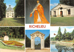 37-RICHELIEU-LE CHÂTEAU-N°2851-C/0145 - Sonstige & Ohne Zuordnung