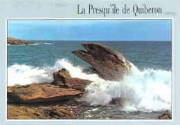 56-PRESQU ILE DE QUIBERON-N°2851-B/0345 - Autres & Non Classés