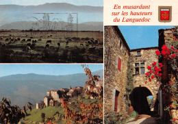 34-PAYSAGE DU LANGUEDOC-N°2851-B/0099 - Other & Unclassified