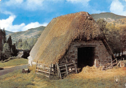 63-PAYSAGE D AUVERGNE-VIEUX BURON-N°2851-D/0023 - Autres & Non Classés