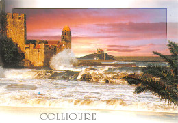 66-COLLIOURE-N°2851-C/0311 - Collioure