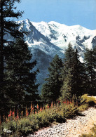 74-CHAMONIX-N°2852-C/0029 - Chamonix-Mont-Blanc