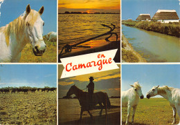 13-PAYSAGE DE CAMARGUE-N°2853-A/0033 - Other & Unclassified