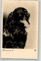 39893041 - Deutscher Huehnerhund Verlag Gebrueder Garloff Nr. 304 - Dogs