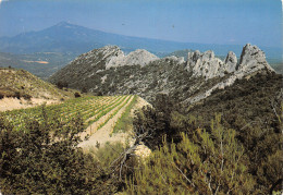 84-LE MONT VENTOUX-N°2853-D/0061 - Autres & Non Classés