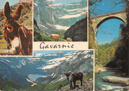 65-GAVARNIE-N°2853-C/0353 - Gavarnie