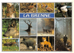 36-PAYSAGE DE LA BRENNE-N°2853-C/0021 - Autres & Non Classés