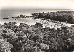 85-ILE DE NOIRMOUTIER-N°2853-B/0091 - Ile De Noirmoutier