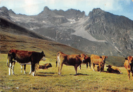 73-PAYSAGE DES ALPES-N°2854-C/0041 - Sonstige & Ohne Zuordnung