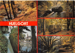 29-HUELGOAT-N°2854-B/0331 - Huelgoat