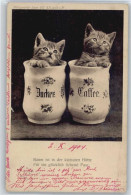 50691941 - In Zuckerdose , Kaffee - Chats