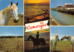 13-PAYSAGE DE CAMARGUE-N°2855-A/0377 - Other & Unclassified