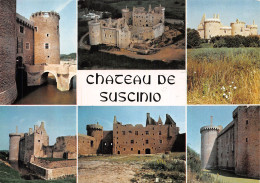 56-SARZEAU-CHÂTEAU DE SUSCINIO-N°2855-A/0235 - Sarzeau