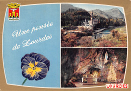 65-LOURDES-N°2855-A/0153 - Lourdes