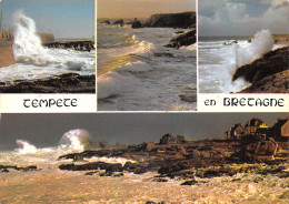 29-PAYSAGE DE BRETAGNE-N°2854-D/0141 - Other & Unclassified