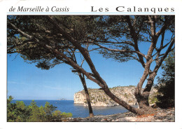 13-CASSIS-LES CALANQUES-N°2854-D/0079 - Cassis