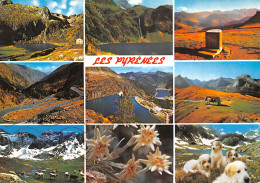 65-PANORAMA DES PYRENEES-N°2855-D/0237 - Other & Unclassified