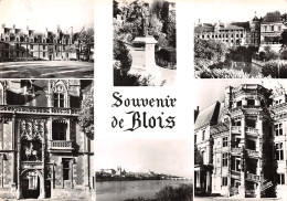 41-BLOIS-N°2855-D/0011 - Blois