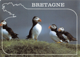 56-PAYSAGE DE BRETAGNE-N°2855-C/0377 - Other & Unclassified
