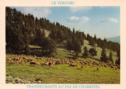 38-PAYSAGE DU VERCORS-TRANSHUMANCE-N°2855-C/0289 - Andere & Zonder Classificatie