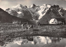 73-COL DU LAUTARET-N°2855-C/0273 - Autres & Non Classés