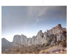 11-PEYREPERTUSE-LE CHÂTEAU-N°2855-C/0173 - Other & Unclassified