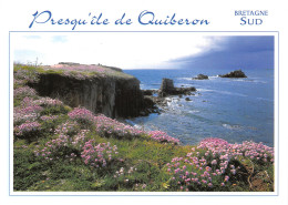 56-PRESQU ILE DE QUIBERON-N°2855-C/0159 - Other & Unclassified